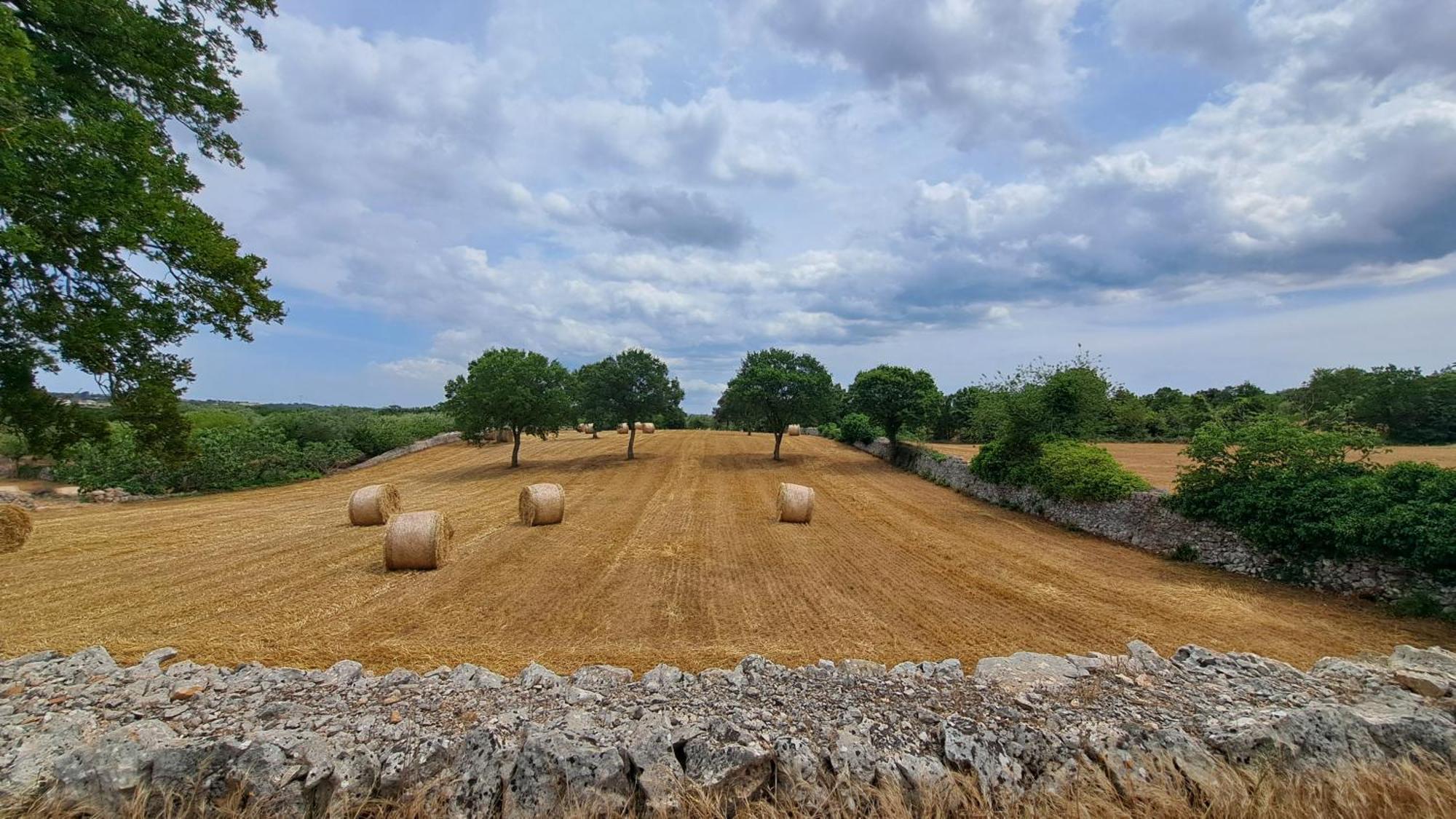 Casolare Di Puglia Villa Noci Kültér fotó