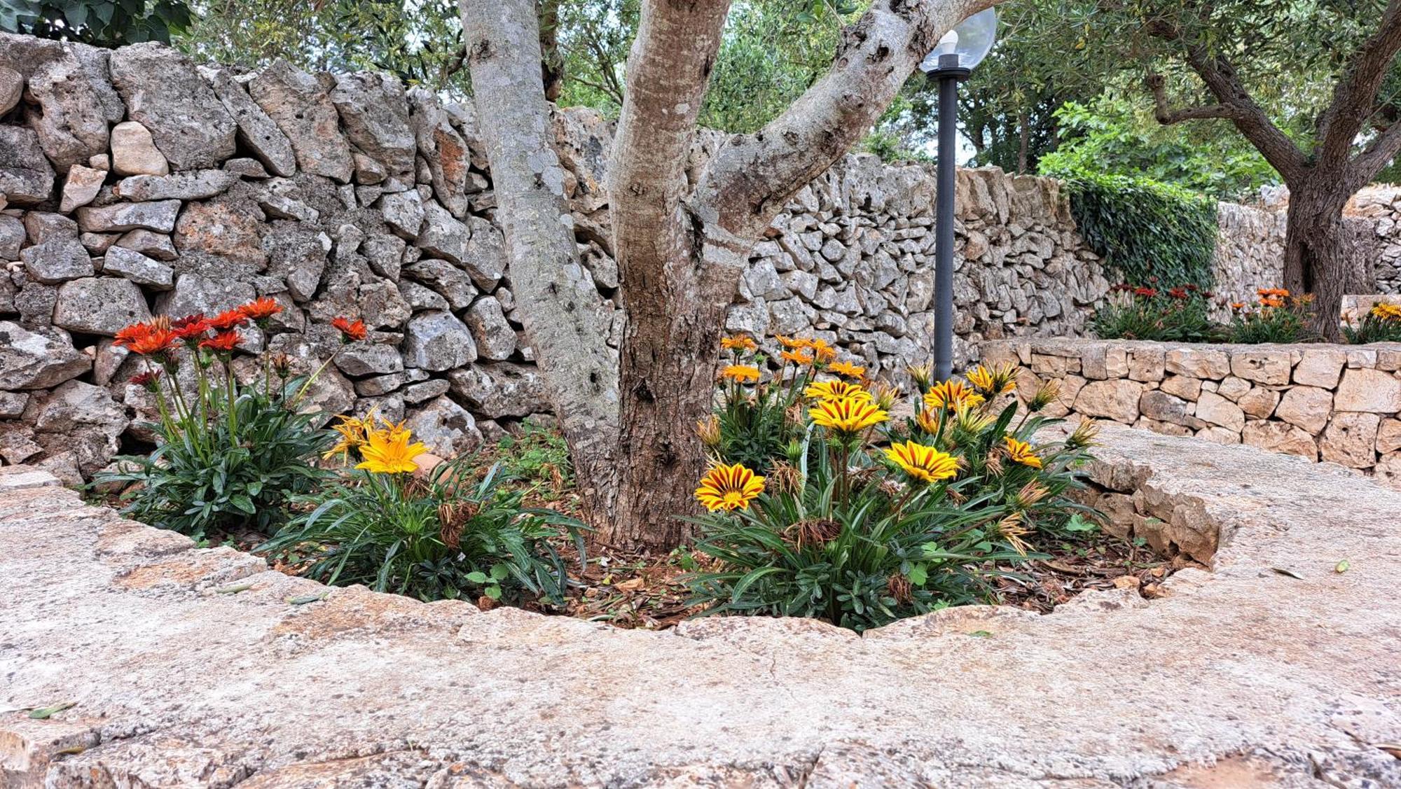 Casolare Di Puglia Villa Noci Kültér fotó